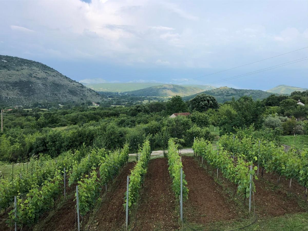 Green Silence - Iva Danilovgrad Exterior foto